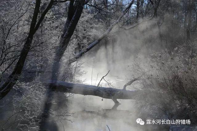 邮储银行落地全国首笔“ESG贷款+保险”业务